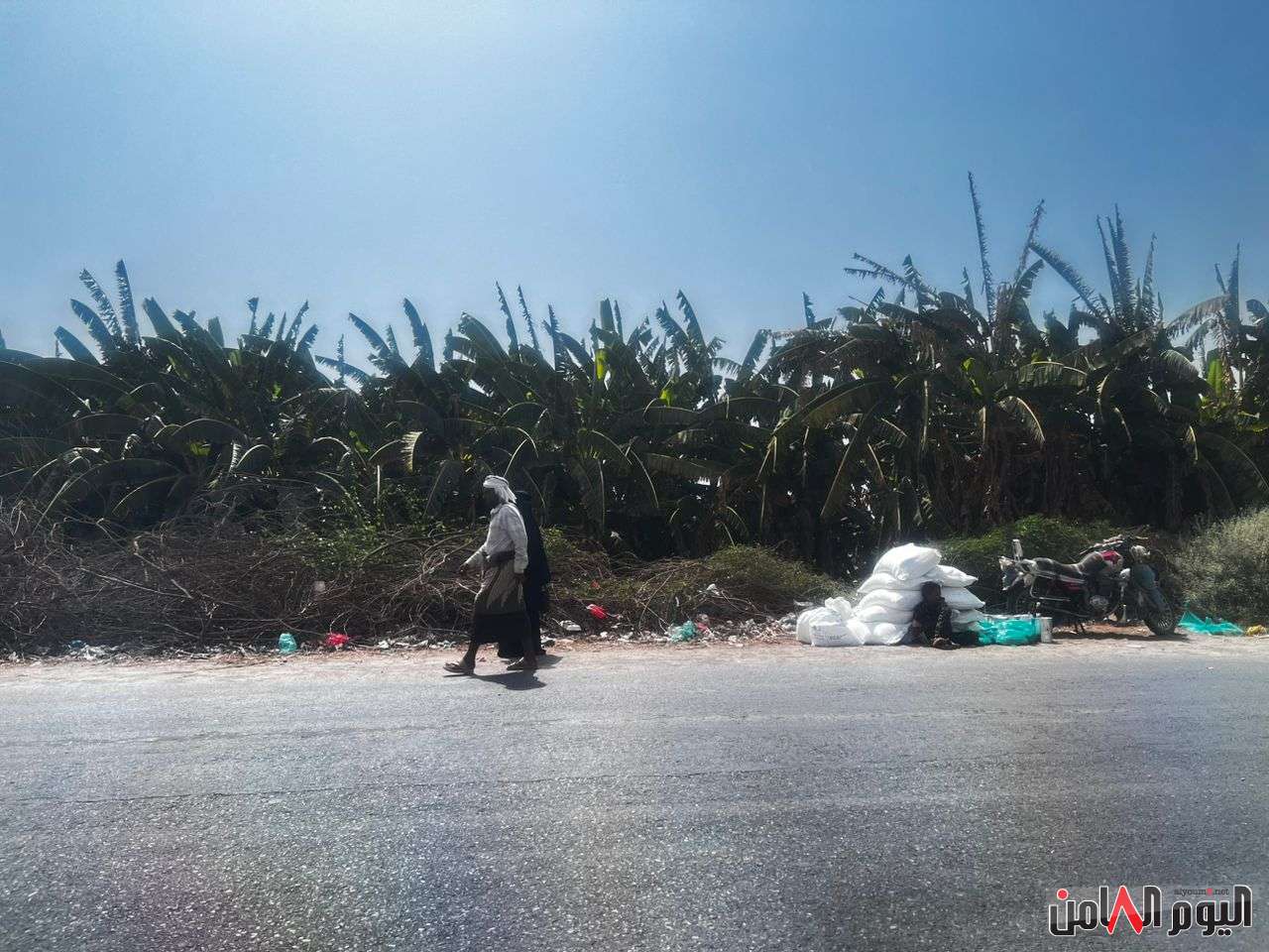 الهجرة غير الشرعية إلى اليمن وتداعياتها على مستقبل البلاد.. تحليل